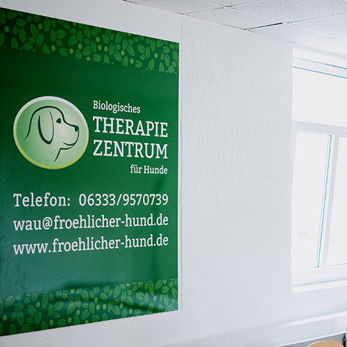 Biologische Therapie für Hunde Waldfischbach-Burgalben - Anja Wagner - Plakat